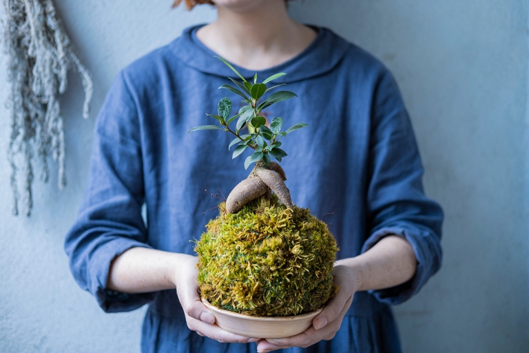 woman holding bonsai tree